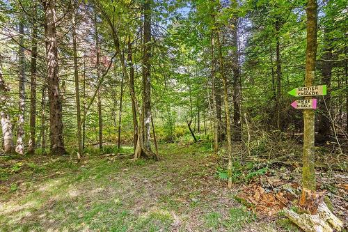 Wooded area - 37 Ch. Stephenson, Gore, QC - Outdoor