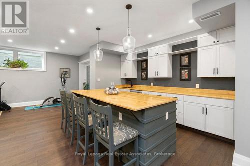 Lower Level - 1285 Mineola Gardens, Mississauga, ON - Indoor