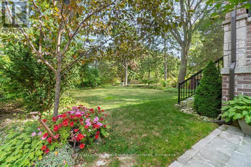 Backyard - 1285 Mineola Gardens, Mississauga, ON - Outdoor