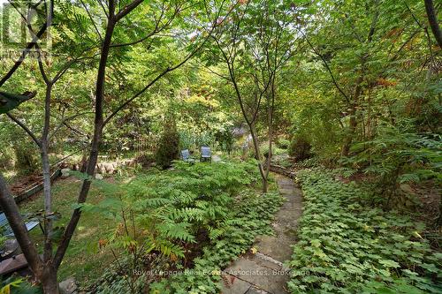 Ravine - 1285 Mineola Gardens, Mississauga, ON - Outdoor
