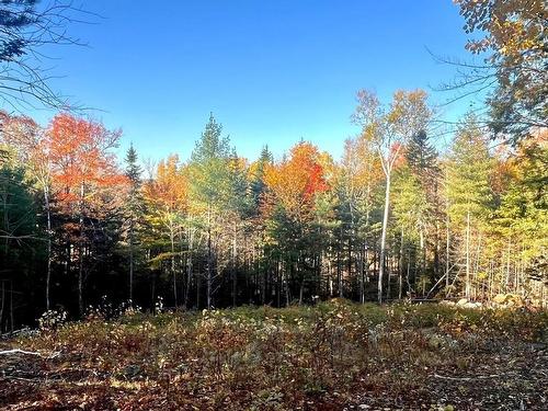 Lot 109 Blue Jay Way, Vaughan, NS 