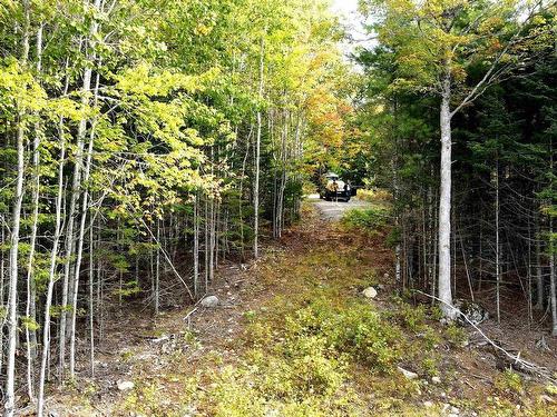 Lot 109 Blue Jay Way, Vaughan, NS 