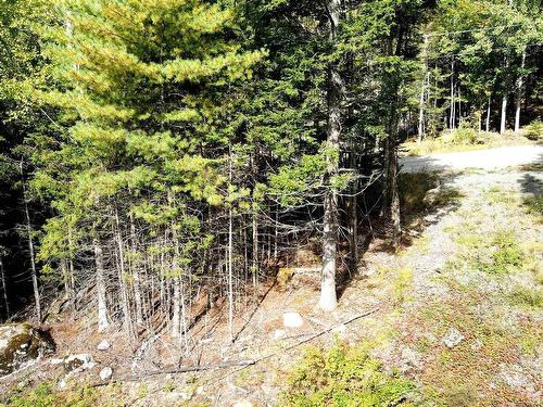 Lot 109 Blue Jay Way, Vaughan, NS 