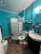 Downstairs Bathroom - 