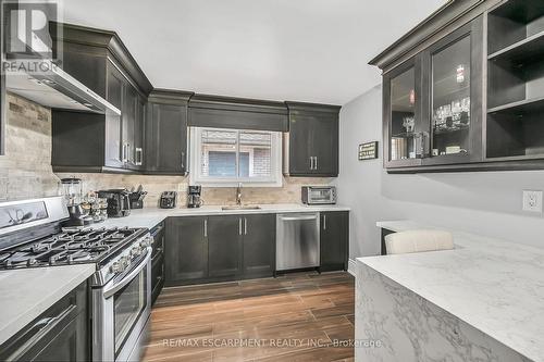 28 Tara Court, Hamilton, ON - Indoor Photo Showing Kitchen With Stainless Steel Kitchen