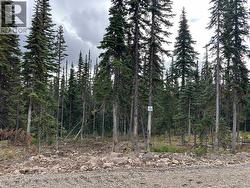 Pr. St Lt 15 ALPINE WAY  Smithers, BC V0J 2N0