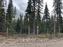 Pr. St Lt 15 Alpine Way, Smithers, BC 