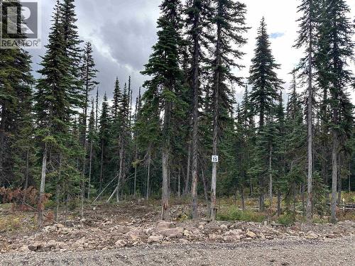 Pr. St Lt 15 Alpine Way, Smithers, BC 