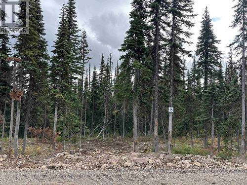 Pr. St Lt 15 Alpine Way, Smithers, BC 