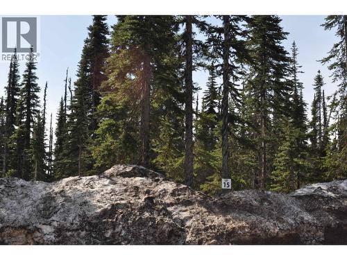 Pr. St Lt 15 Alpine Way, Smithers, BC 