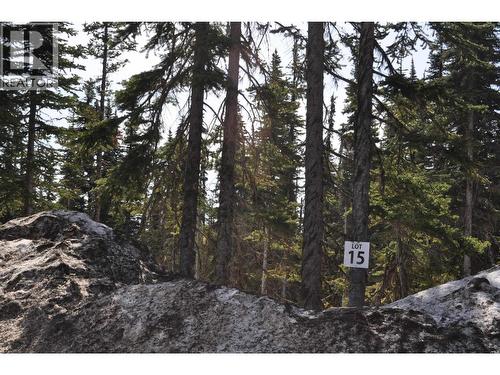 Pr. St Lt 15 Alpine Way, Smithers, BC 