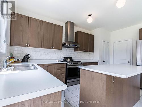 177 Limestone Lane, Shelburne, ON - Indoor Photo Showing Kitchen With Double Sink