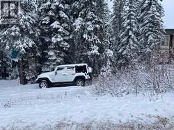 650 Monashee Road  Silver Star, BC V1B 3M1