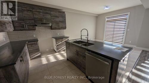 2926 Turner Crescent, London South (South U), ON - Indoor Photo Showing Kitchen With Double Sink