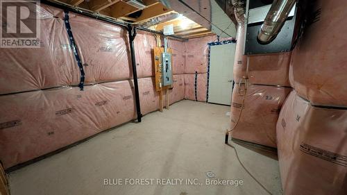 2926 Turner Crescent, London South (South U), ON - Indoor Photo Showing Basement