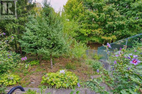 633 Rosseau Road, Hamilton, ON - Outdoor