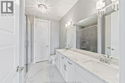 442 Caserta, Lakeshore, ON - Indoor Photo Showing Bathroom