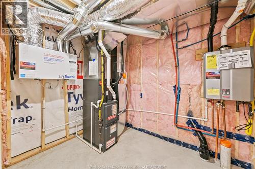 442 Caserta, Lakeshore, ON - Indoor Photo Showing Basement