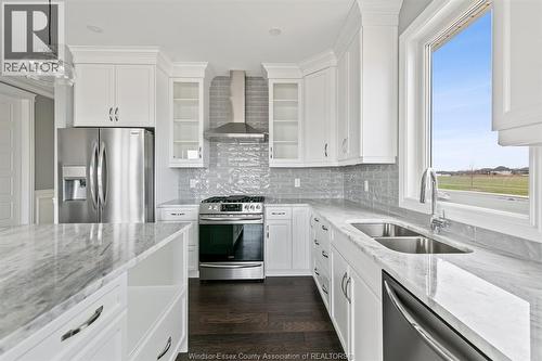442 Caserta, Lakeshore, ON - Indoor Photo Showing Kitchen With Double Sink With Upgraded Kitchen