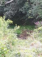 001 LOT 2 CONC 7  Port Hope, ON L0A 1B0