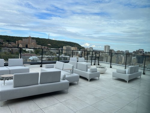 Patio - 604-2320 Rue Tupper, Montréal (Ville-Marie), QC - Outdoor With View