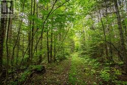 Trunk Road / HWY 17  Huron Shores, Thessalon, ON P0R 1L0