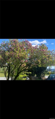 3570 Auchinachie Rd, Duncan, BC - Outdoor