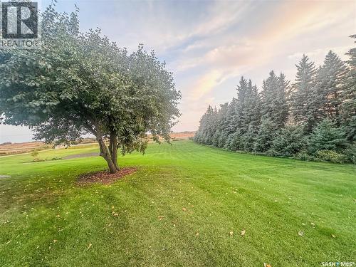 Diamond C Acreage, Fertile Belt Rm No. 183, SK - Outdoor With View