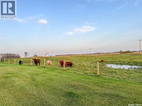 Diamond C Acreage, Fertile Belt Rm No. 183, SK - Outdoor With View