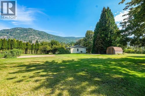 807 Waterloo Road, Ootischenia, BC - Outdoor With View