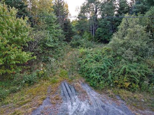 Lot Chesley Road, Barss Corner, NS 