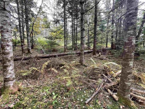 Lot Chesley Road, Barss Corner, NS 