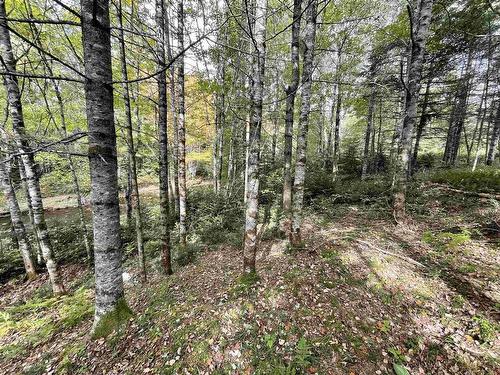 Lot Chesley Road, Barss Corner, NS 