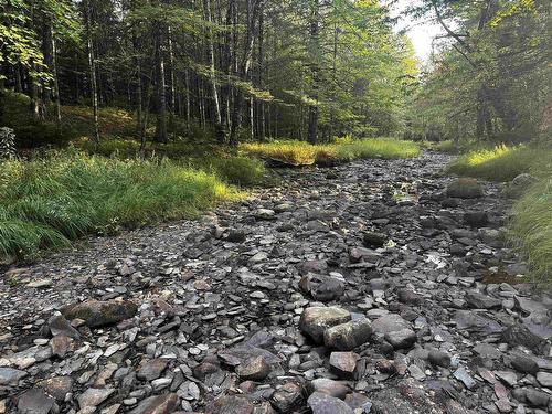 Lot Chesley Road, Barss Corner, NS 
