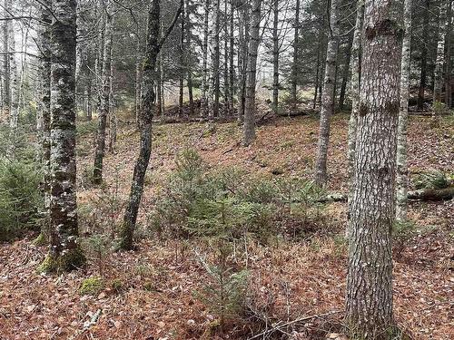 Lot Chesley Road, Barss Corner, NS 