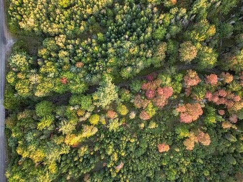 Lot Chesley Road, Barss Corner, NS 