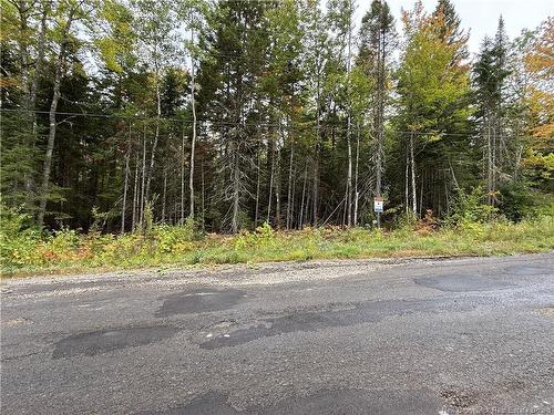 Lot Nickerson Point Rd, Wickham, NB 