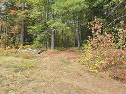LOT Green Road  Keddys Corner, NS B4N 3V7