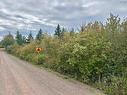 Lot Scotsburn Road, Plainfield, NS 