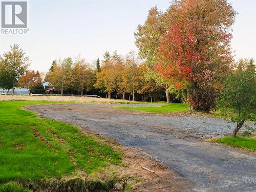 399-401 Water Street, Bay Roberts, NL 