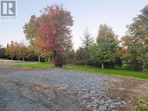 399-401 Water Street, Bay Roberts, NL 