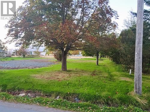 399-401 Water Street, Bay Roberts, NL 