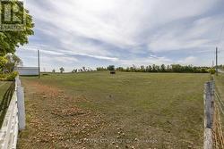 View of pasture west of the laneway - 