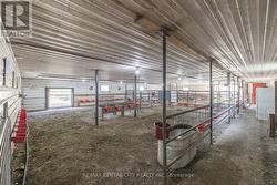 Interior of barn complex - 