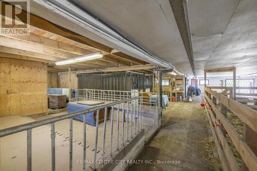Interior of barn complex - 19152 County Road 25, South Glengarry, ON - Indoor
