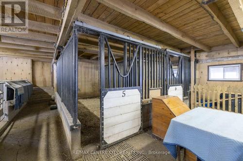 Interior of barn complex: 2 spacious horse stables - 19152 County Road 25, South Glengarry, ON - Indoor