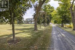 View of laneway with mature trees - 
