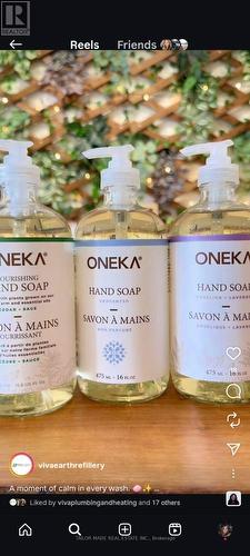 Unit B - 308B Queen Street S, Caledon, ON 