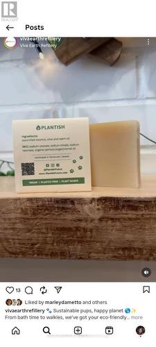 Unit B - 308B Queen Street S, Caledon, ON 