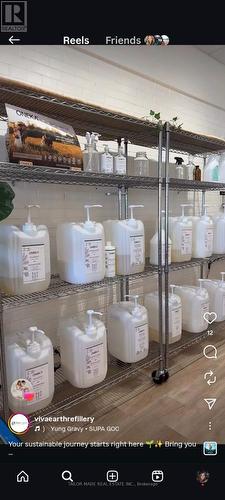 Unit B - 308B Queen Street S, Caledon, ON 